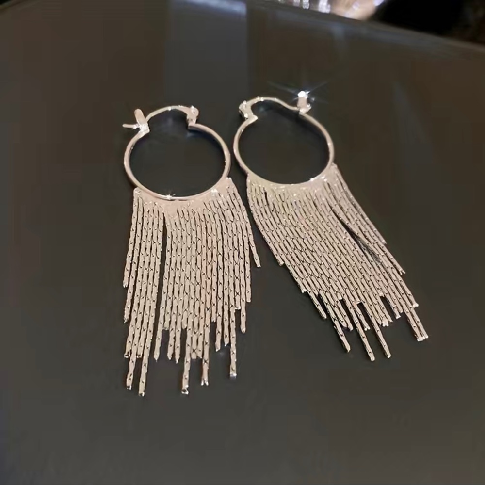 Long Silvery Tassel Earrings